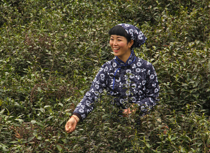 专题 经典重制